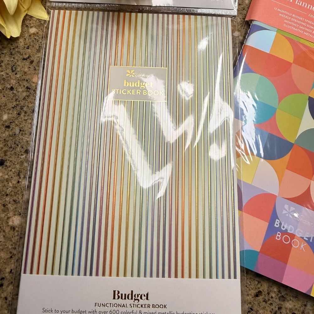 ✨ Just in Time for the New Year! Budget Planner Bundle ✨ - Picture 3 of 13
